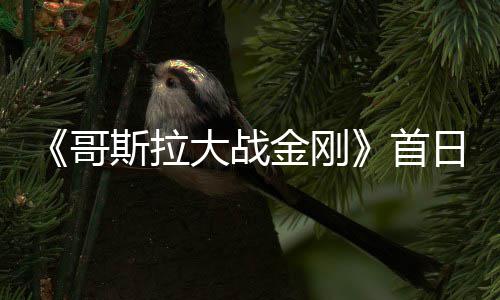 日票亿 大战金刚纪录哥房达斯拉首刷新