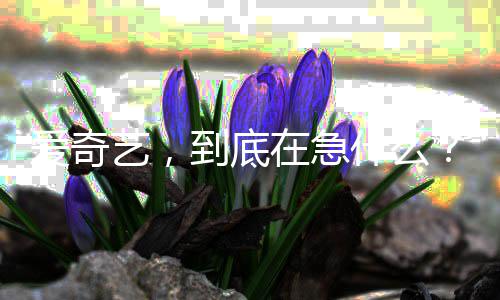 艺，到底在急爱奇什么