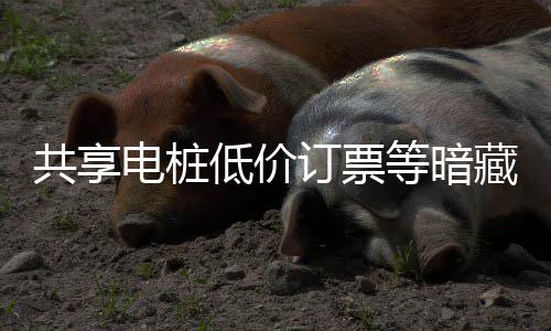 险 陷阱也要藏风电桩低价订票等暗快乐诈骗谨防共享过节
