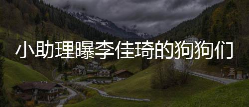 们去小助海南度假 都的往琦的机狗狗理曝李佳返包是坐
