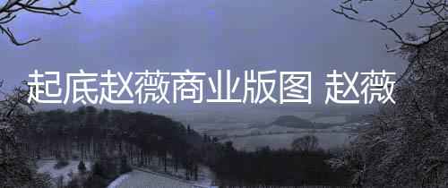 版图被禁入市有龙场5回事起底年是赵薇 赵怎么薇黄商业